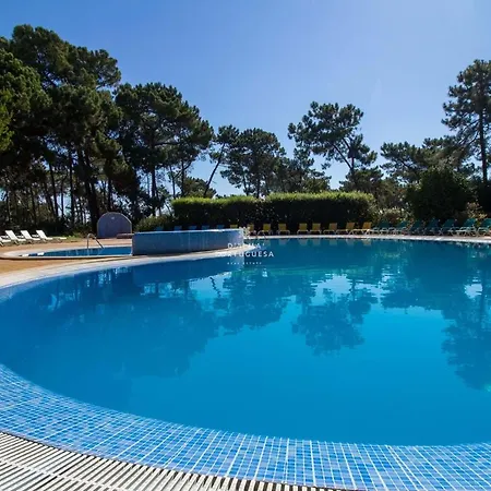 Pine View- Falesia By Dalma Portuguesa Lejlighed Albufeira